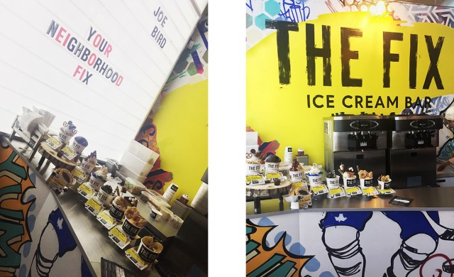 Sept 2017 - Joe Bird - 12.jpg