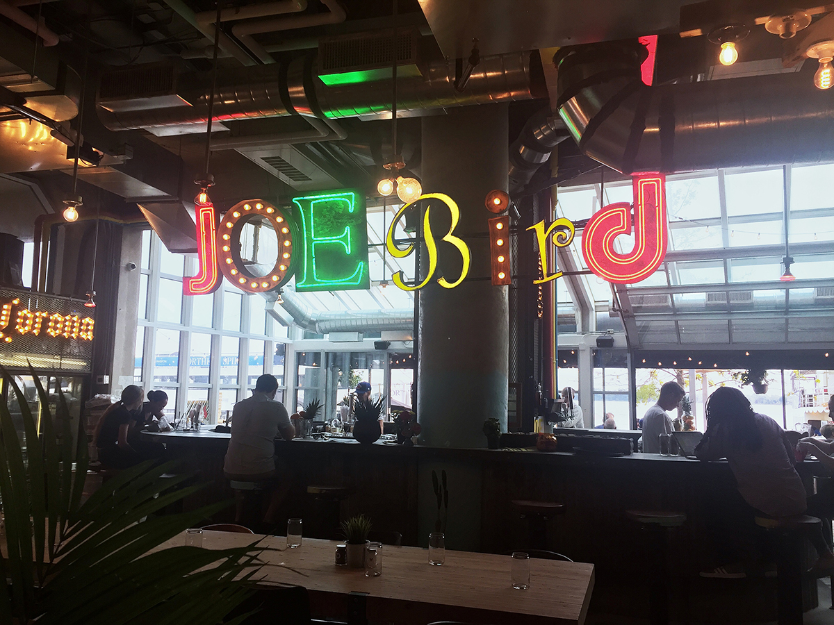 Sept 2017 - Joe Bird - 1.jpg