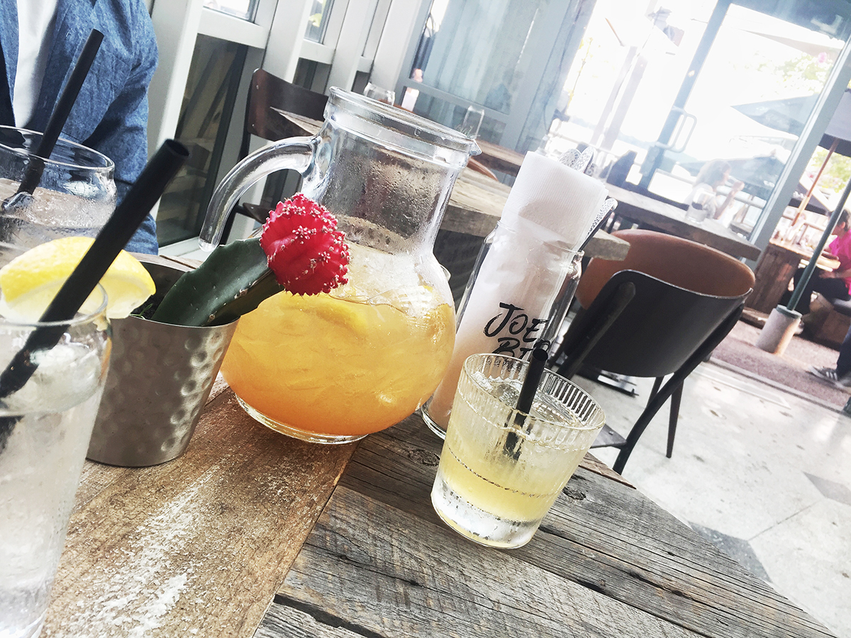 Sept 2017 - Joe Bird - 4.jpg