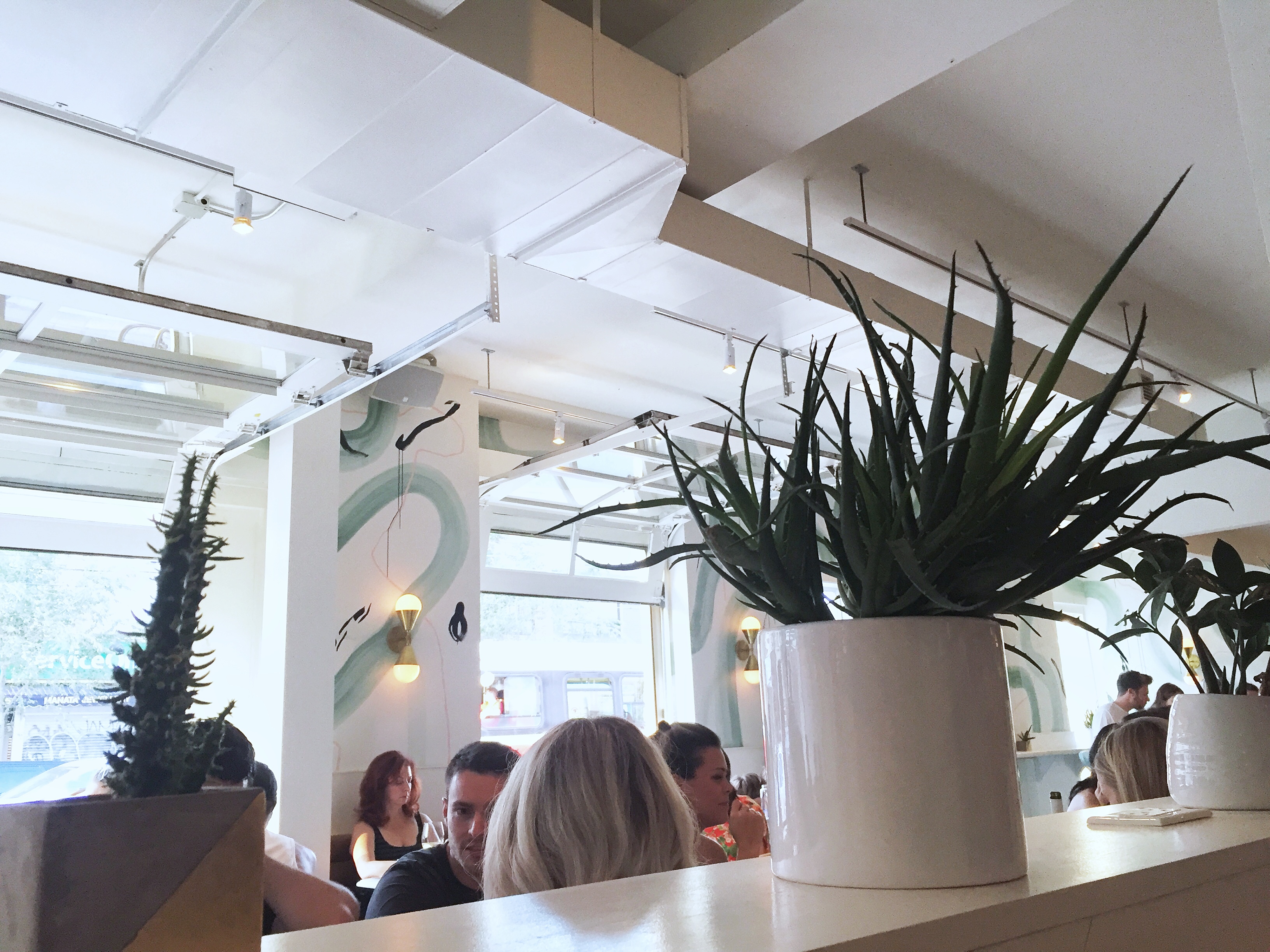 Sept 2017 - La Palma - 6.jpg