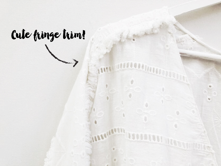 MyObsessionMonday - Zara Embroidered - trim