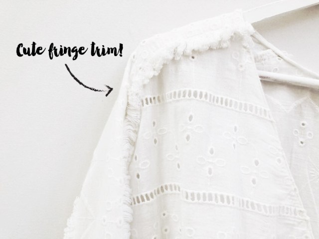 MyObsessionMonday - Zara Embroidered - trim